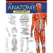 The Anatomy Coloring Book: A Complete Study Guide (9th Edition)