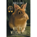 Who Am I Without You: A Journey Through Loss, Grief, and Love