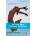Be Your Best Without the Stress: It's Not About The Medal