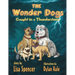 The Wonder Dogs: Caught in a Thunderstorm