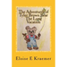 The Adventures of Tyler Brown Bear: The Long Vacation