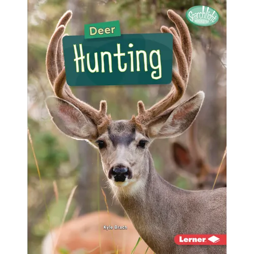 Deer Hunting