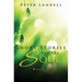 Short Stories for the Soul, Book 1