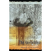The Invisibles: Stories