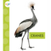 Cranes