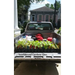 Southbound Gardens: One: Food growing know how for the Urban South