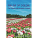 Fields of Color: The Theory that Escaped Einstein