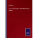A Key and Companion to the Rudimentary Algebra