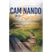 Caminando en el Espìritu: Devocional de 40 Días