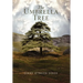The Umbrella Tree