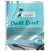 Credit Reset: A Step By Step DIY Guide to Repairing Your Credit and Rebuilding Financial Freedom