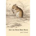 Joey the Motor Home Mouse