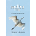 Sadhu: A Fictional Journey into Light