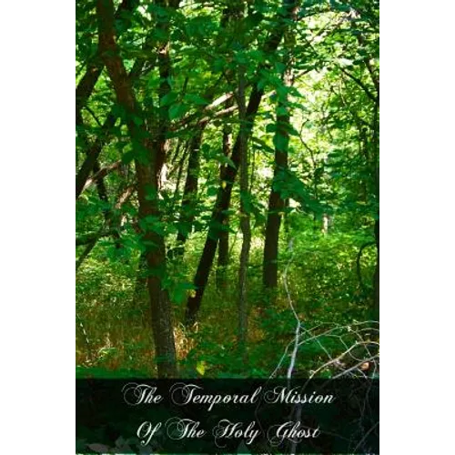 The Temporal Mission Of The Holy Ghost: Reason And Revelation