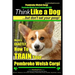 Pembroke Welsh Corgi, Pembroke Welsh Corgi Training AAA AKC: Think Like a Dog, But Don't Eat Your Poop! - Breed Expert Dog Training: Here's EXACTLY Ho