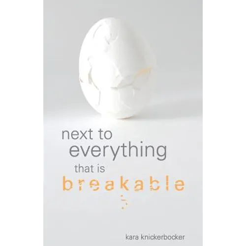 Next to Everything that is Breakable