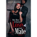 How Does It Feel to Lose Your Mate: Book 1