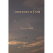Cormorants at Dusk