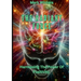 The Radiant Force Harnessing The Power Of Positivity