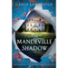 The Mandeville Shadow: Totally heartbreaking and unputdownable timeslip historical fiction