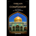 Threads of Compassion- Healing Hands in Lady Zainab's Neighborhood