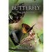 From Caterpillar to Butterfly: New Life in Christ