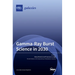 Gamma-Ray Burst Science in 2030