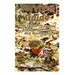 Survival Guide: TOP Secrets Of Finding Edible Wild Plants And Mushrooms: (Edible Wild Plants, Edible Mushrooms, How To Survive)