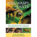 Bees, Wasps, and Ants: The Indispensable Role of Hymenoptera in Gardens