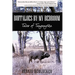Buffaloes by My Bedroom