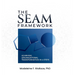 The SEAM Framework: Achieving Organizational Transformation in 4 Steps