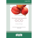 The Good and Beautiful God: Falling in Love with the God Jesus Knows (Apprentice (IVP Books) (16pt Large Print Edition)