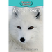 Arctic Foxes