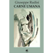 Carne umana