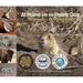 At Home with the Prairie Dog: The Story of a Keystone Species