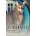 Chausie: Cat Breed Complete Guide