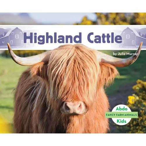 Highland Cattle