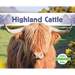 Highland Cattle