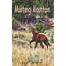 Mustang Mountain