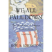 We All Fall Down: The Dissolution of America