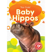 Baby Hippos