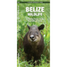 Belize Wildlife: A Folding Pocket Guide to Familiar Animals