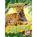 Jaguars