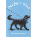 Perfect Blue