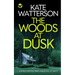 THE WOODS AT DUSK a totally gripping crime thriller full of twists
