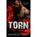 Torn: A Second Chance Love Triangle Romance