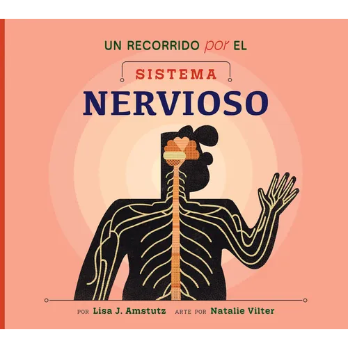 Un Recorrido Por El Sistema Nervioso