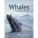 Whales: Their Biology and Behavior