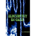 Electricity in Gases (High Voltage Physics Series)