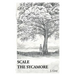 Scale the Sycamore
